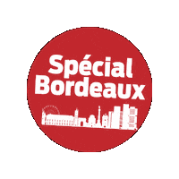 SudOuest bordeaux pfe sudouest Sticker