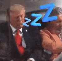 Sleepy Donald Trump GIF