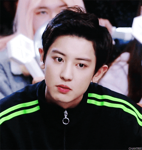 tintuckpop giphyupload GIF