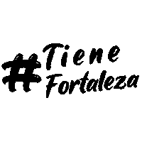 fortalezaguitars fortaleza guitarra calidad strings Sticker