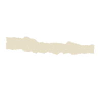 Paper Tape Sticker