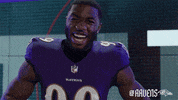 Football Celebrate GIF by Baltimore Ravens