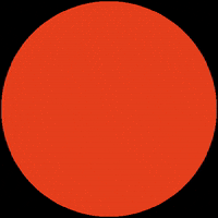 NodusFactoryCompany logo sail nodusfactory GIF