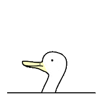 confused duck Sticker