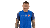 Football Celebration Sticker by Slovensky futbalovy zvaz