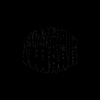 FuzzWahFilm fuzzwah GIF