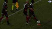 Western Sydney Wanderers Football GIF by wswanderersfc