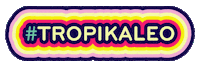 pinaloka vacation tropical puertorico pina Sticker
