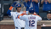 Ny Mets Hug GIF by New York Mets