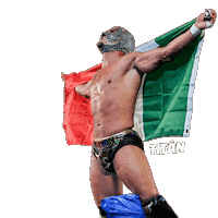 Lucha Libre Mexico Sticker