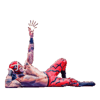 Lucha Libre Wrestling Sticker