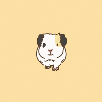 Licht 歩く GIF