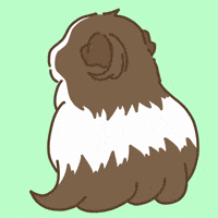 Hair Licht GIF