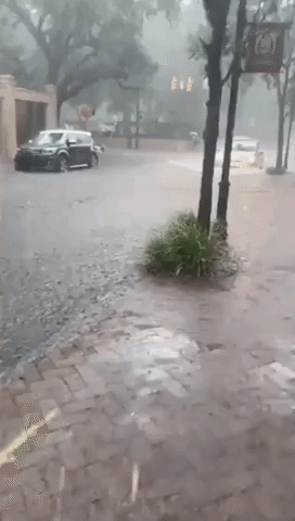 Students Wade Through Flooding on College of Charleston Campus