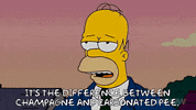 Episode 1 GIF by The Simpsons