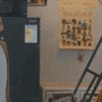 Tiger Mirror GIF by ViuTV