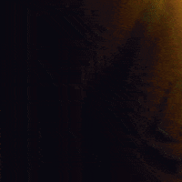 Bojan Bogdanovic Sport GIF by Utah Jazz