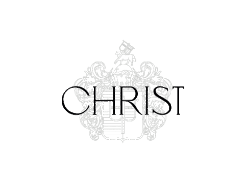 Wine Vino Sticker by Weingut Christ