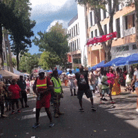 Bermuda Flag Waving GIF by Bermemes