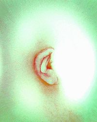 Face Wtf GIF by davidvnun