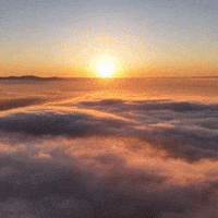 You Can Do It Love GIF
