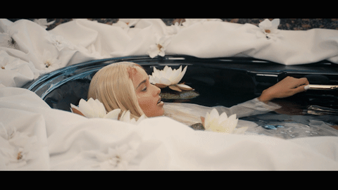 music video rap GIF by Tommy Genesis