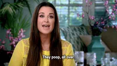 real housewives GIF by RealityTVGIFs