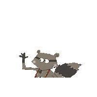 Raccoon Fotografo Sticker