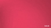 Berlin Csu GIF by Initiative Neue Soziale Marktwirtschaft