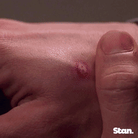 spider-man GIF by Stan.