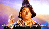 Wizard Of Oz Dorothy GIF