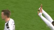 2. bundesliga football GIF by 1. FC Köln