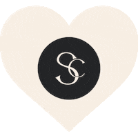 Brio Sticker by Shadowcamp