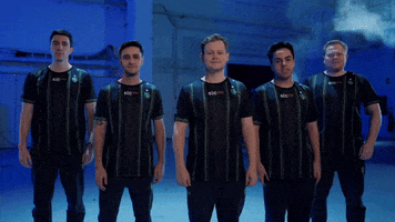 Counter Strike Team GIF by BLAST