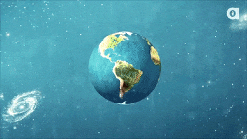 Lil Bub GIF by Internet Cat Video Festival