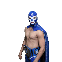 maskadorestacoshopaz wrestling wrestler lucha lucha libre Sticker