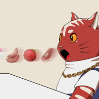 Cat Love GIF by Kitaro World