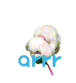 아르르 Sticker by arrr_official