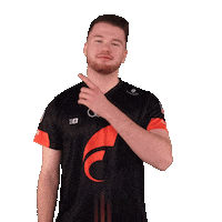 Pointing Fifa20 Sticker by STARK ESPORTS