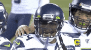 National Football League Touchdown GIF by NFL