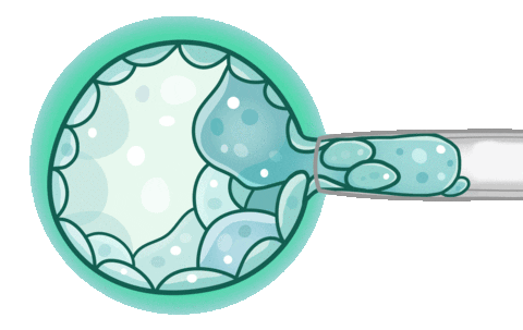 Sticker by Papo Fértil