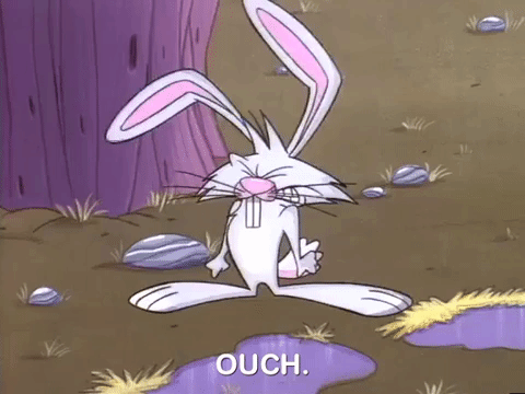 angry beavers nicksplat GIF