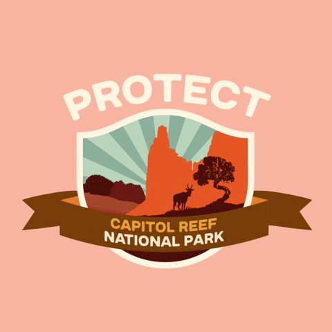 Digital art gif. Inside a shield insignia is a cartoon image of a bright orange rock formation behind the silhouette of a wild elk and a spindly tree. Text above the shield reads, "protect." Text inside a ribbon overlaid over the shield reads, "Capitol Reef National Park," all against a pale pink backdrop.