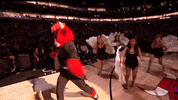 chicagobulls sports sport nba chicago bulls GIF