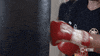 wilder vs fury GIF by SHOWTIME Sports