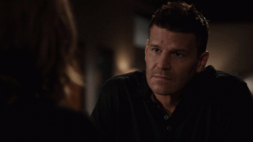 booth brennan GIF by Bones