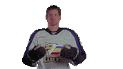 Sticker by Colorado Eagles