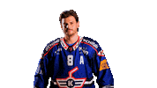 Fight Sport Sticker by EHC Kloten