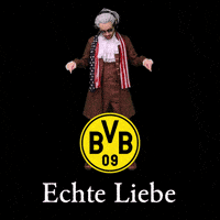 German Football Bundesliga GIF