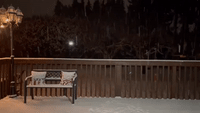Snowy Scenes in Bellevue, Washington, Amid Winter Storm Watch
